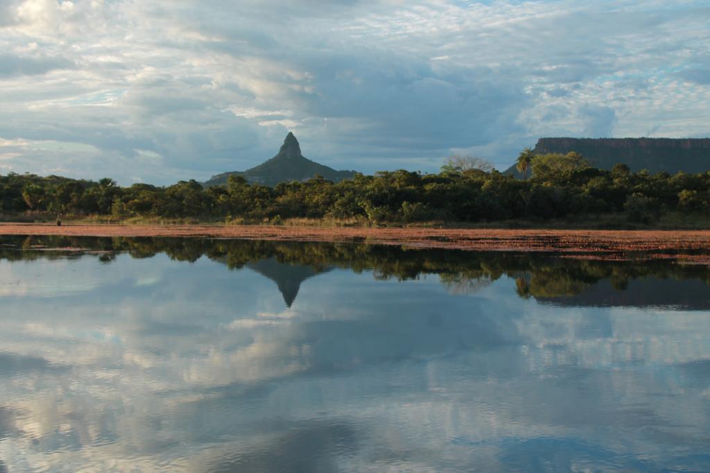 Pousada Sertao Veredas Hotel Sao Domingos de Goias Екстериор снимка